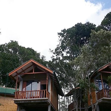 Saffron Eco Cottage Ella Esterno foto