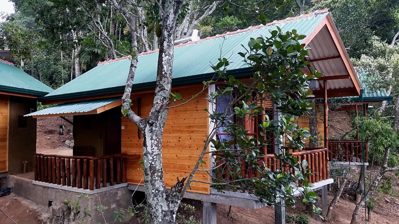 Saffron Eco Cottage Ella Esterno foto