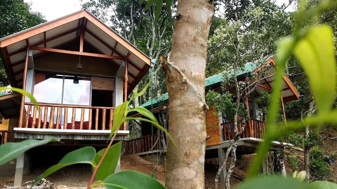 Saffron Eco Cottage Ella Esterno foto