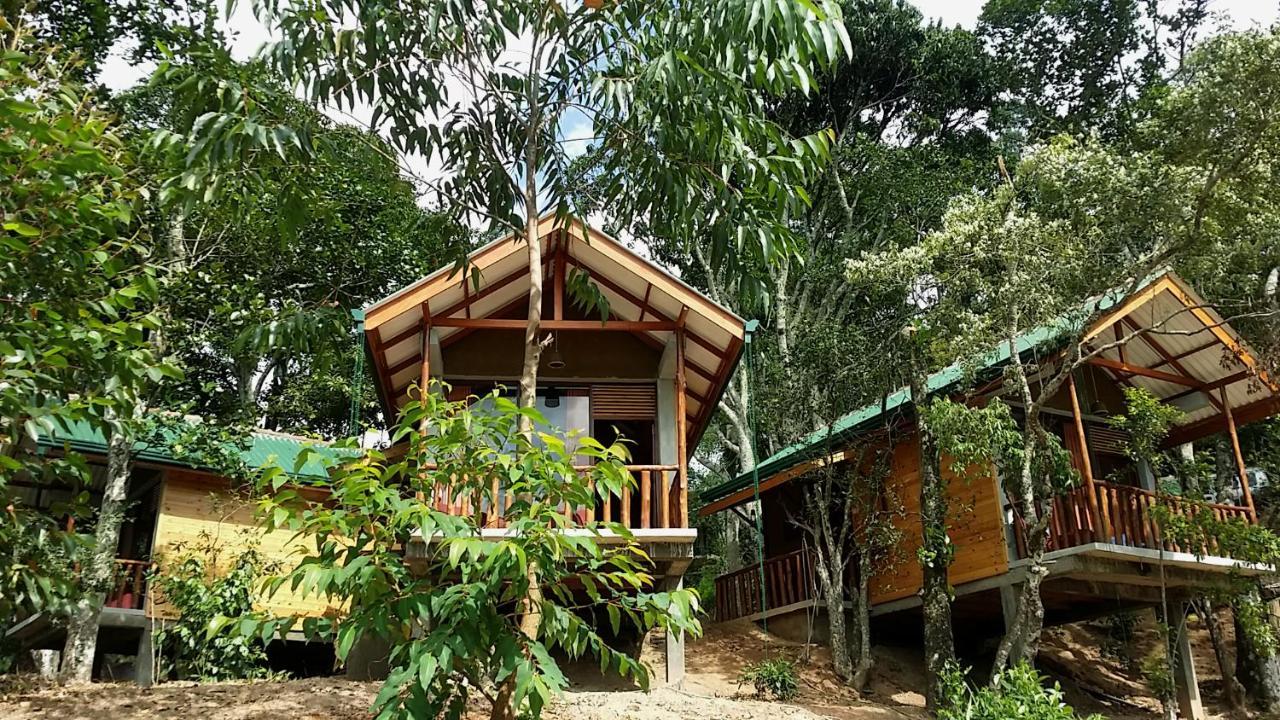 Saffron Eco Cottage Ella Esterno foto