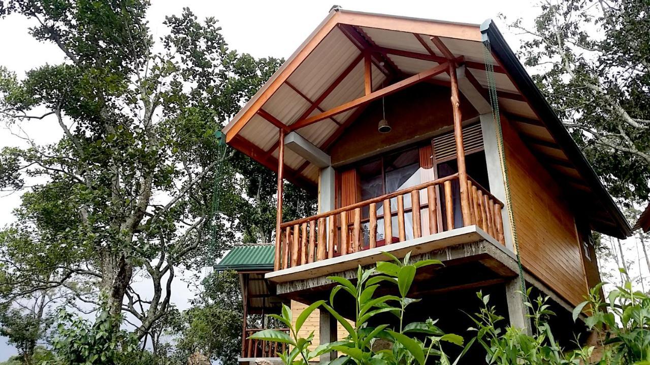 Saffron Eco Cottage Ella Esterno foto